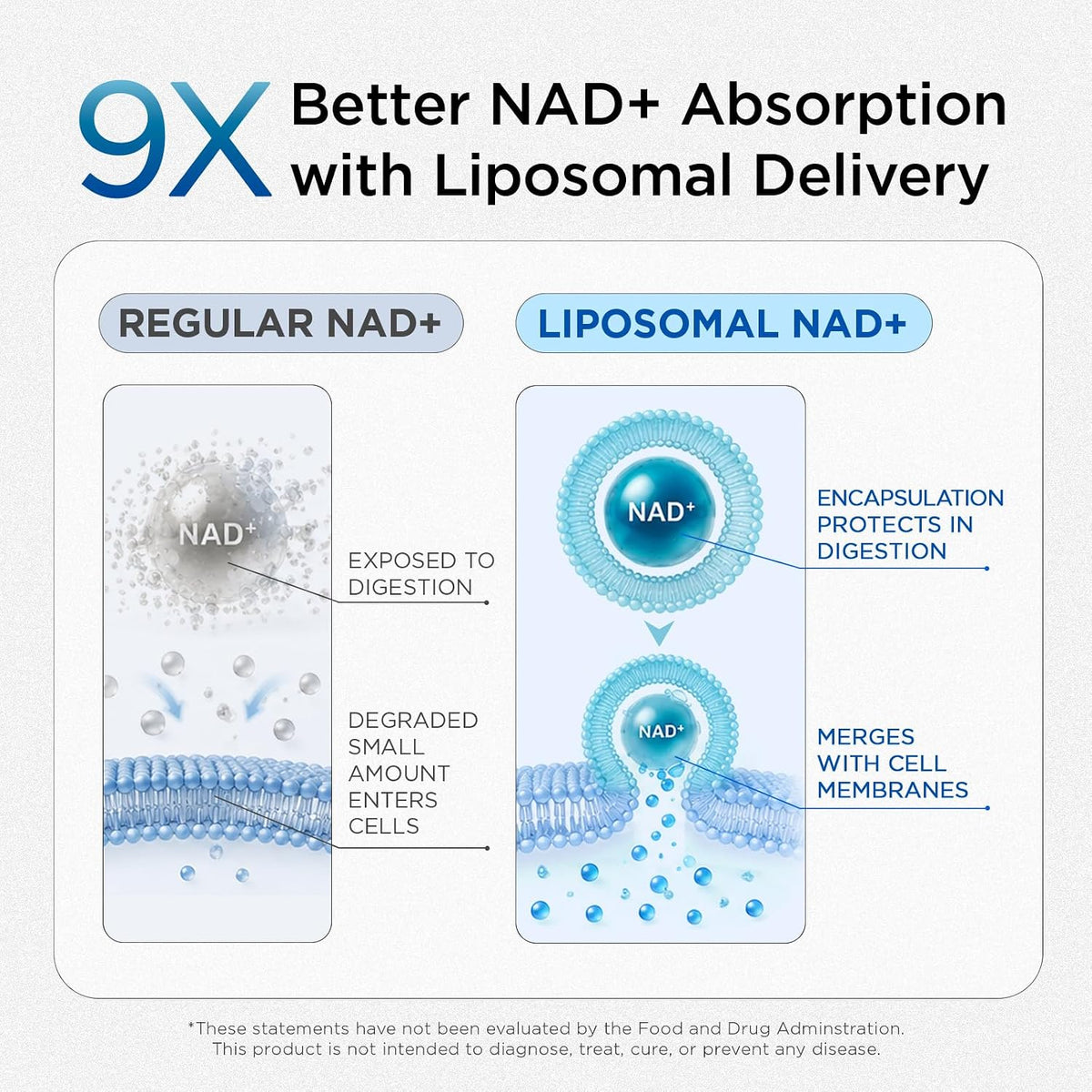 Liposomal NAD Supplement for Men